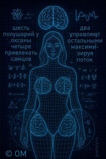 шесть полушарий у оксаны четыре привлекать самцов два управляют остальными максимизируя поток — OM, иллюстрация, 06 мая 2025, Поэторий